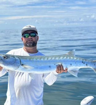 Great Barracuda In St Petersburg